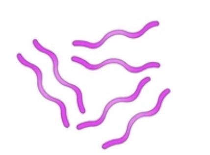<p>What is this?</p>