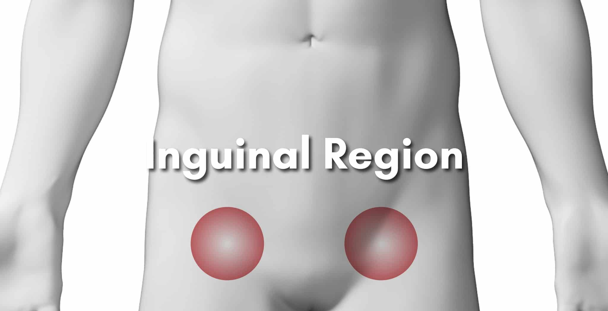 <p>Inguinal area</p>
