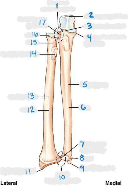 <p>2</p>