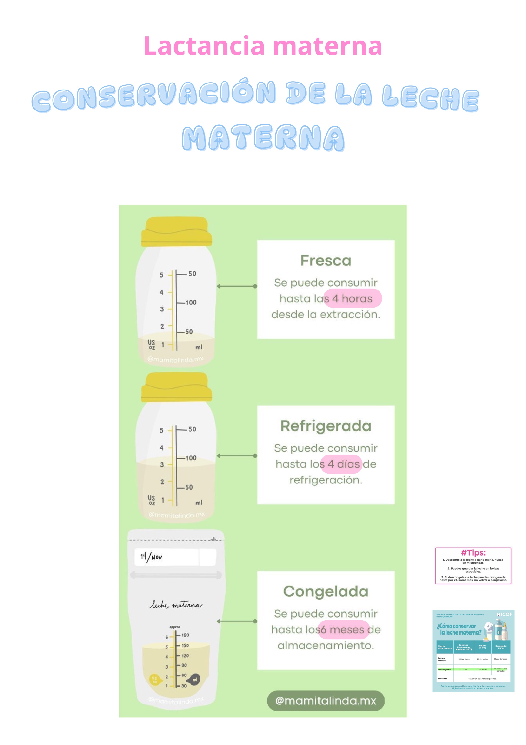 <p><span><span>Pero honestamente, para ISSSTE yo no memorizaría ahorita todas las horas exactas a menos que veas que alguien menciona específicamente banco de leche o conservación.</span></span></p><p></p><p><span><span>Más probable:</span></span></p><p></p><p><span><span>¿Dónde debe almacenarse la leche extraída?</span></span></p><p></p><p><span><span>¿Puede congelarse?</span></span></p>