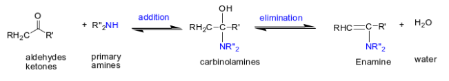 <p><span>carbinolamines are formed</span></p>