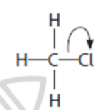 <p>What does the curly arrows shown represent ?</p>