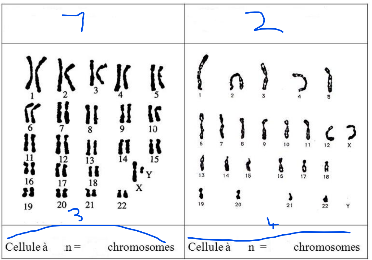 <p>4=</p>