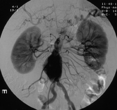 <p>identify the pathology</p>