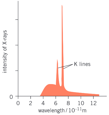 <p>Describe how K-lines are produced</p>