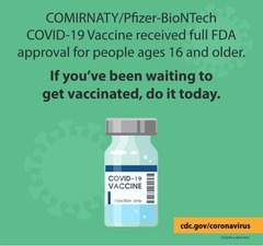 <p>New Drug Application.</p>