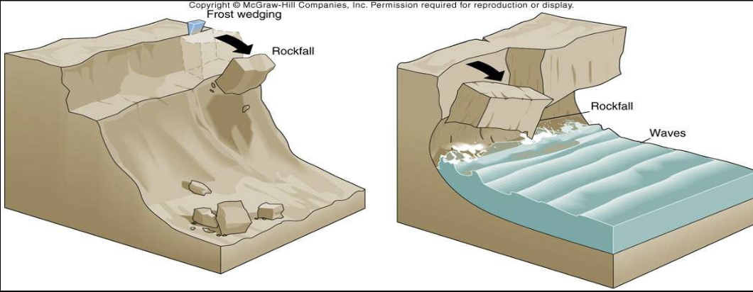 <p>Where bedrock breaks loose, and free falls or bounces down a cliff</p><p>– often rock fragments (talus) accumulate at cliff base</p><p>– Debris fall - free falling rock fragments, trees, houses, soil, etc</p><p></p>
