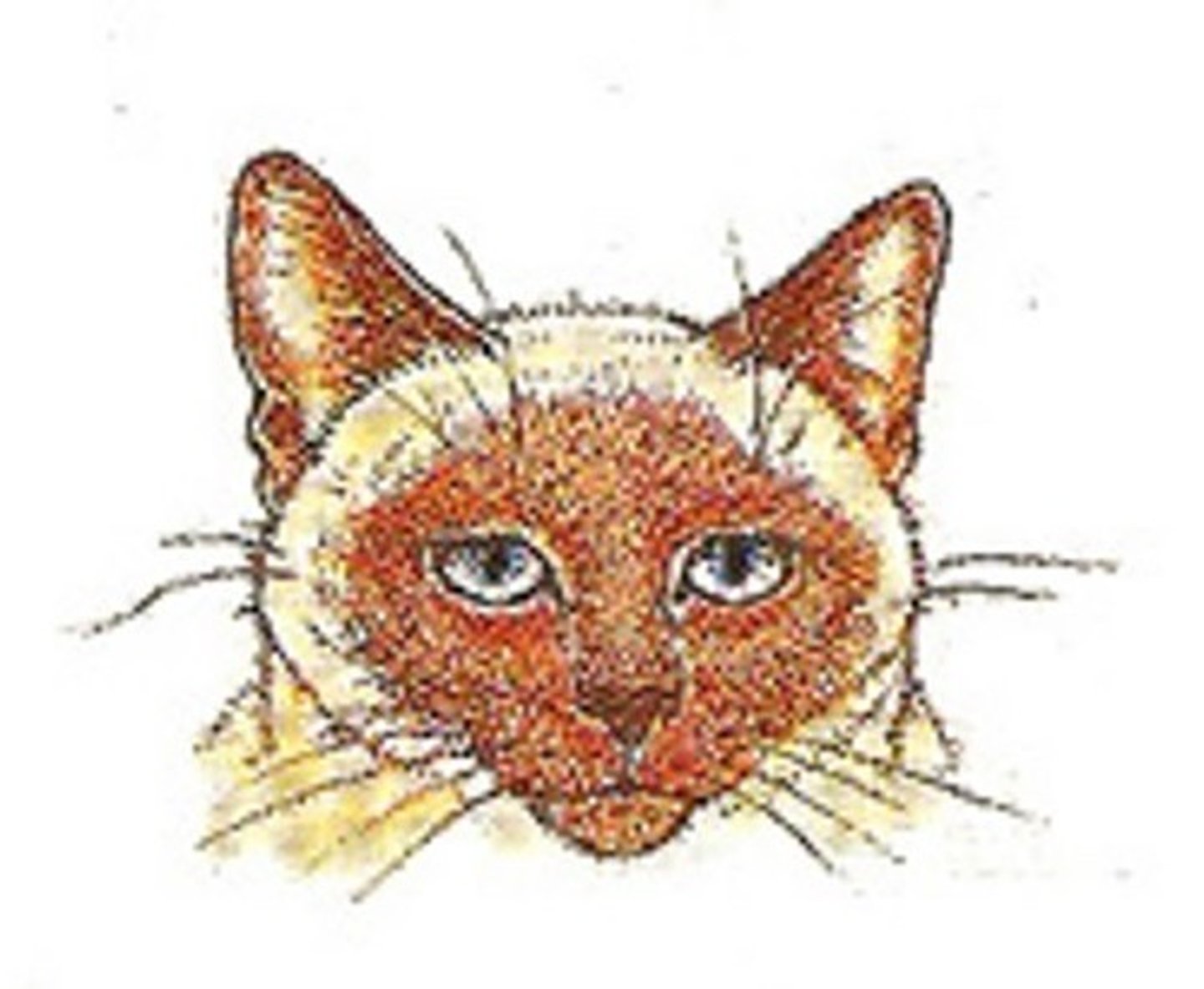 <p>relaxed</p>