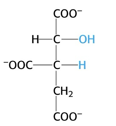 <p>what structure is this?</p>