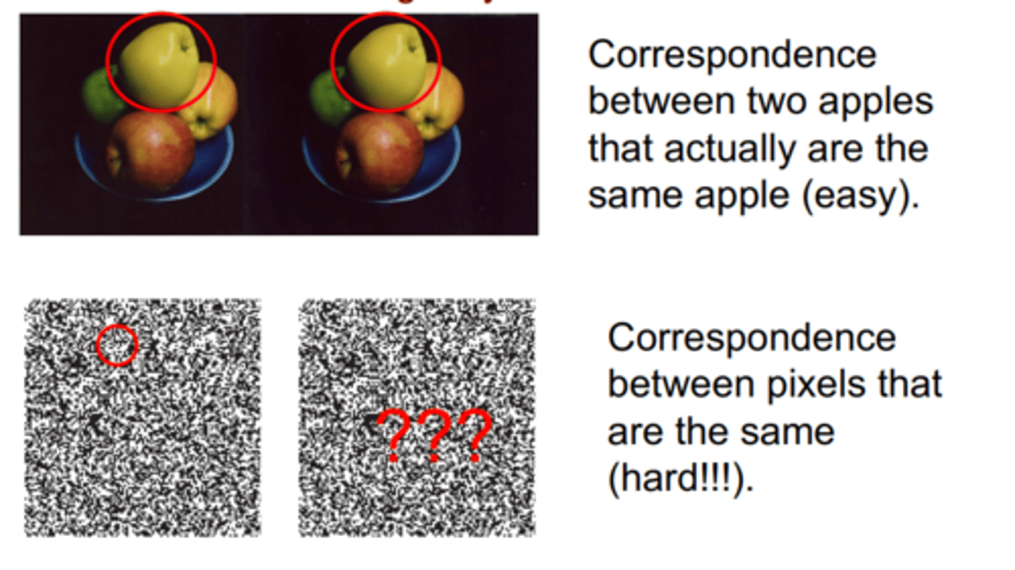 <p>Figuring out which bit of the image in the left eye should be matched with which bit in the right eye.</p>