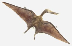 <p>/ˈterəsɔːz/ (n, plural)</p><p>* pterosaur; các loài bò sát biết bay thời tiền sử, sống trong Đại Trung Sinh</p><p>* Greek pteron = cánh + sauros = thằn lằn → "thằn lằn có cánh"</p><p>* ≈ flying reptiles</p><p>* ↔ —</p><p>* pterosaur fossils; flying pterosaurs; large pterosaurs</p><p>* Pterosaurs were the first vertebrates known to have evolved powered flight.</p><p> → Pterosaur là những động vật có xương sống đầu tiên được biết đến đã tiến hóa khả năng bay chủ động.</p>