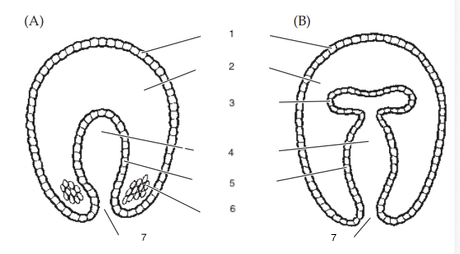 <p>What is number 3 on this diagram?</p>
