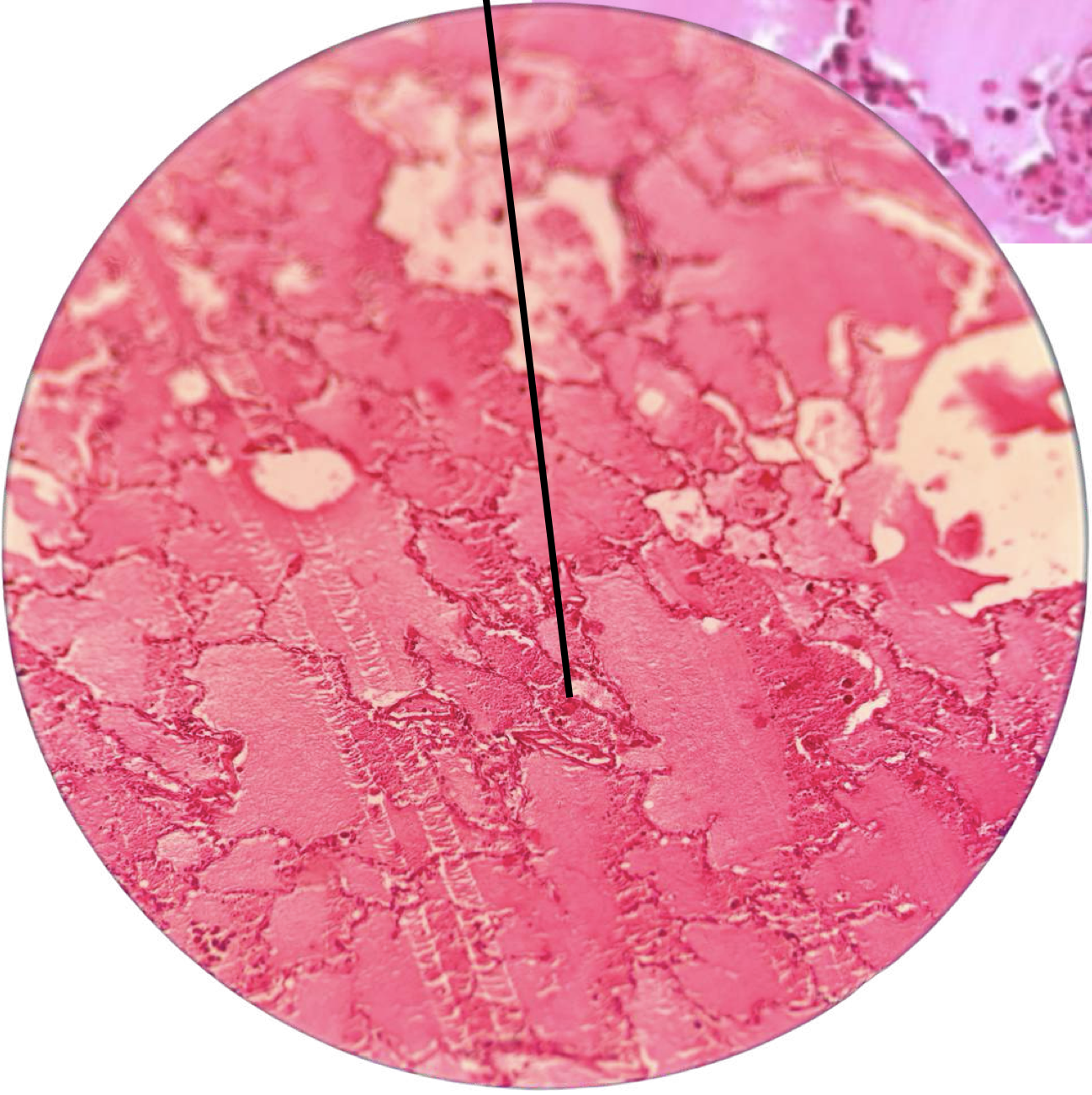 <p>Identify</p>