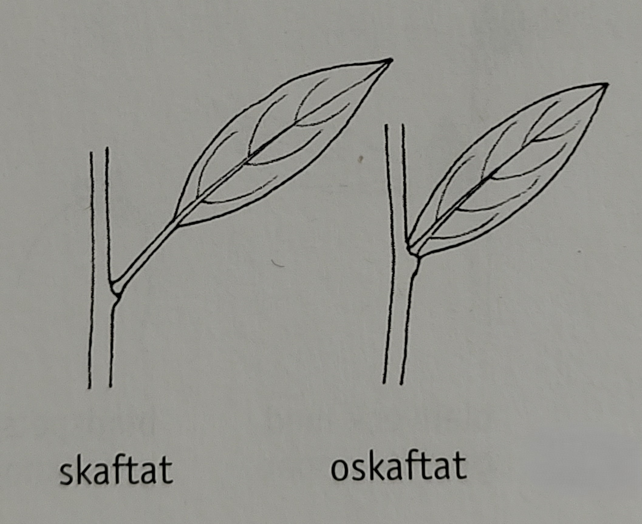 <p></p>