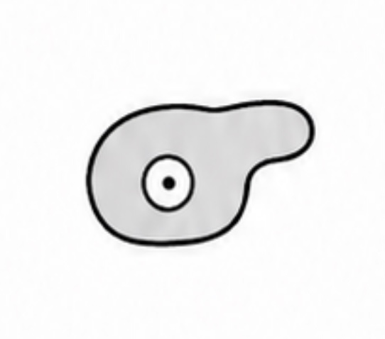 <p>SCIENTIFIC NAME</p>