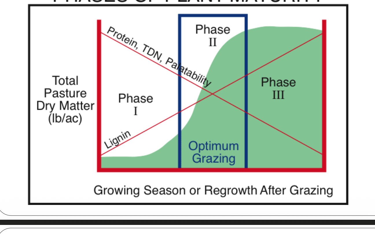 <p>Phases of plant maturity: 1, 2, 3</p><p>Protein, TDN, palatability decreases</p><p>lignin increase</p><p>optimum grazing at 2 </p>