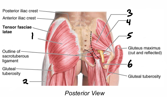 <p>6</p>