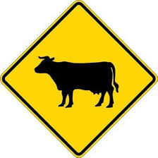 <p>what is this sign telling you </p>