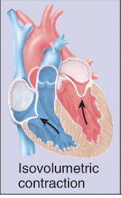 <p>Isovolumetric (same vol) contraction - Ventricles strat contracting, pressure ↑, Biscupid valve close (no backflow into atria), no blood leave yet (vol same)</p>