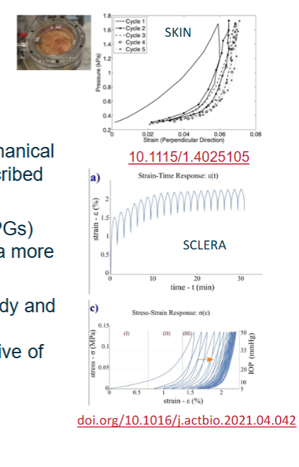 <p>Preconditioning effect refer to an evolving mechanical response to repeated loading and were first described for uniaxial tensile testing of skin</p><p>Change in internal structure (collagen, elastin PGs) which organise over cycling and therefore grant a more repeatable response</p><p>The goal of preconditioning is to achieve a steady and repeatable mechanical response and to measure material properties that are representative of the in vivo condition</p>