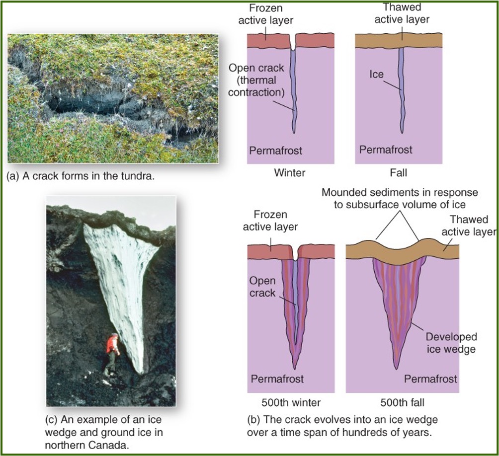 <p>What are the two features of periglacial environments?</p>