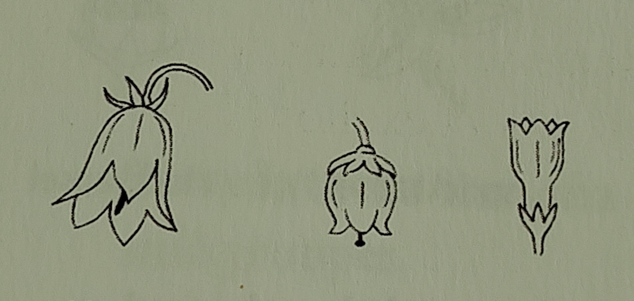 <p></p>