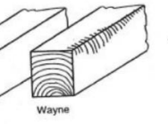 <p>The presence of bark or the lack of wood on the edge or corner of a piece of lumber. Areas where the lumber has been cut too closely to the edge of the log and there is bark on the boards.</p>