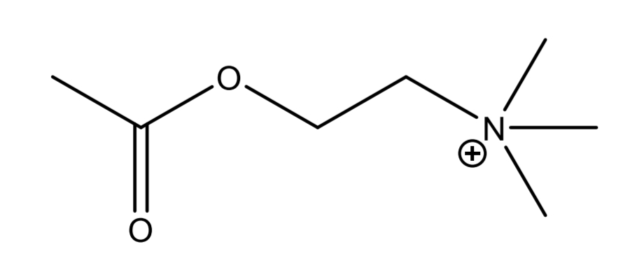 <p>Parasympathomimetics</p>