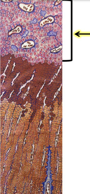 term image