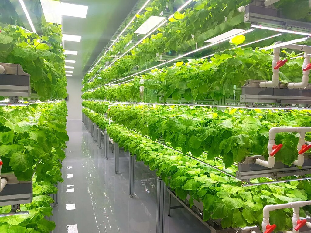 <p>vertical farming</p>