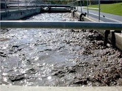 <p>any liquid waste other than clear-water waste or storm water.</p>
