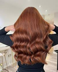 tóc nâu đỏ; noun phrase; synonyms: reddish-brown hair; example: She had long ... .