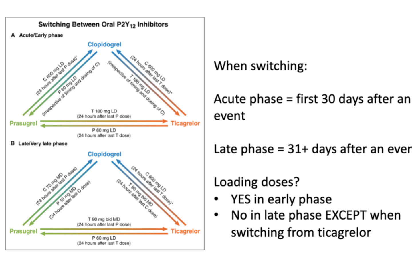 <p>• When switching:</p><p>• Acute phase = first 30 days after an event</p><p>• Late phase = 31+ days after an event</p><p>• Loading doses?</p><p>- YES in the early phase</p><p>- No in late phase EXCEPT when switching from ticagrelor</p>