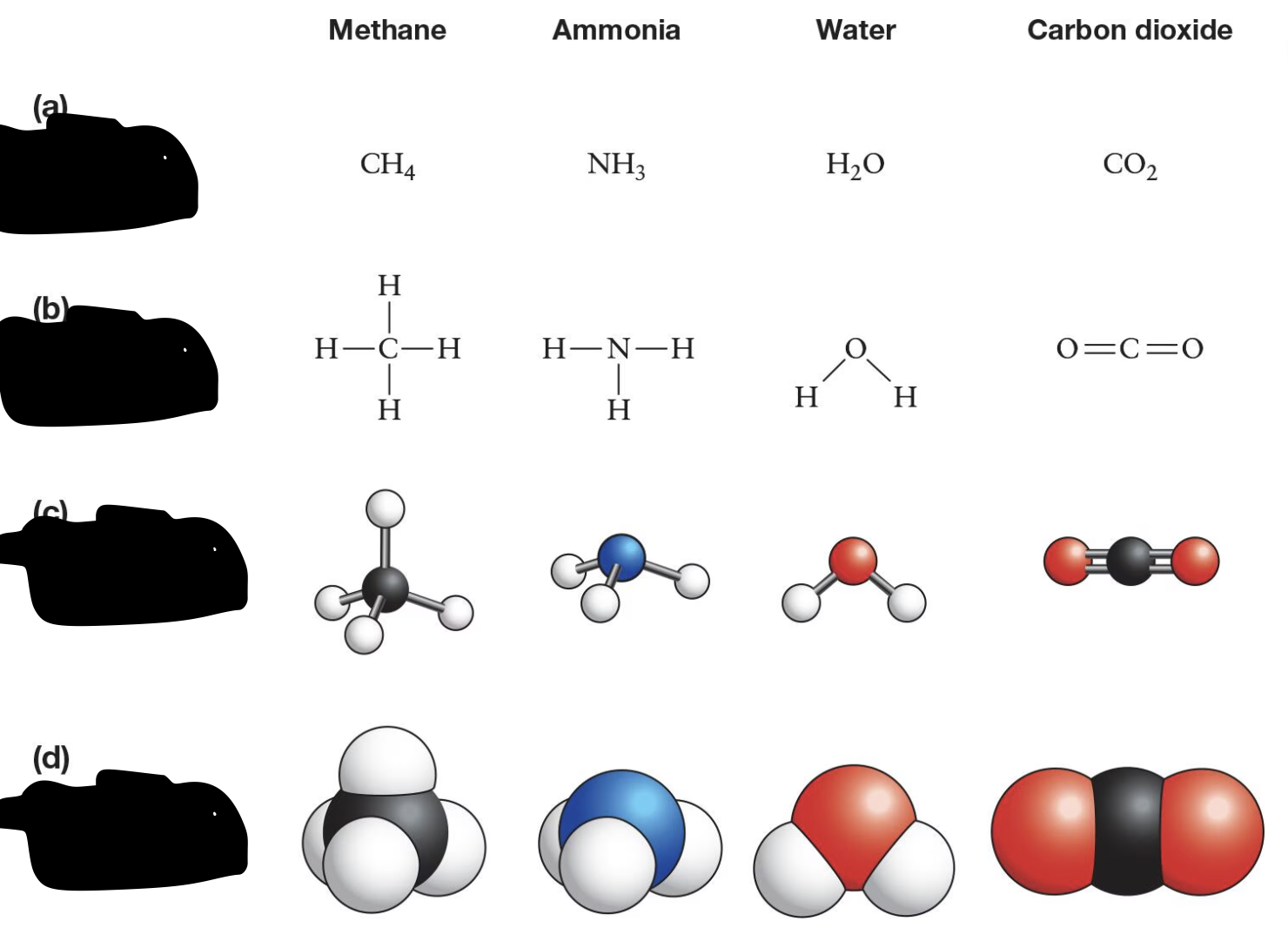 <p>Label each model from top to bottom!</p>
