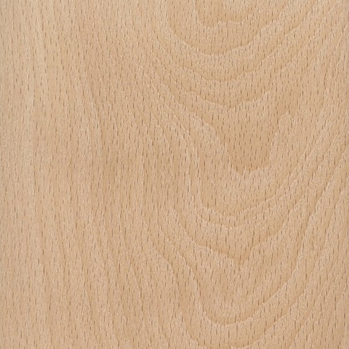 <p>Beech (hardwood)</p>