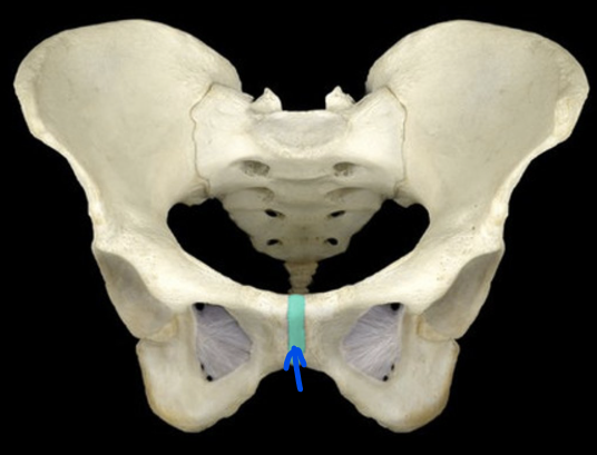 <p>What is this joint?</p>