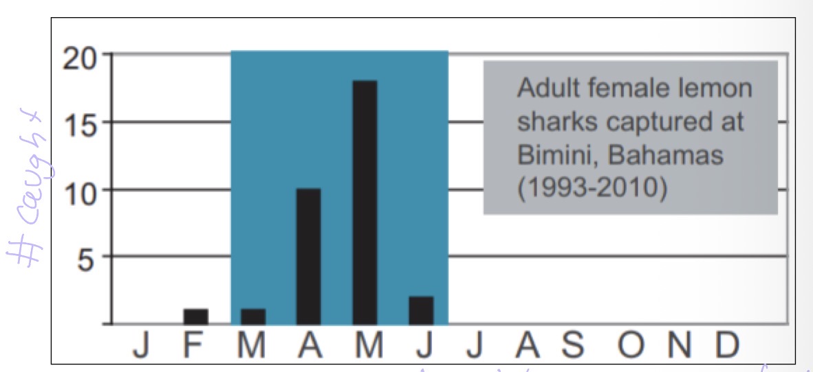 <p>Implications?</p>