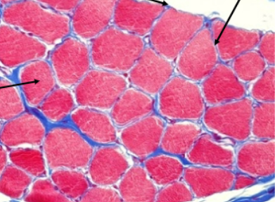 <p>Slide 44</p>