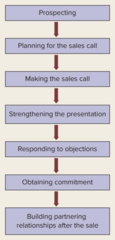 <p>Prospecting, planning calls, making calls, presenting, answering objections, obtaining commitment, and partnering post-sale.</p>