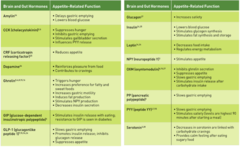<p>What regulates appetite?</p>