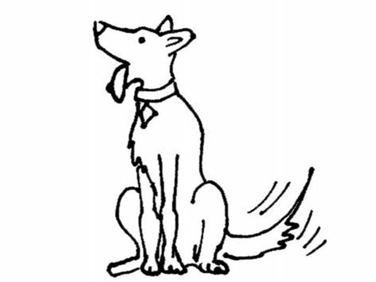 <p>nomen:</p><p>A dog</p>