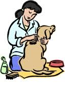 <p>to take care of...</p>
