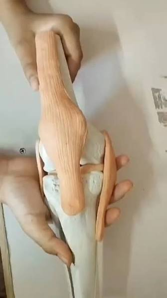 <p>Define joint</p>