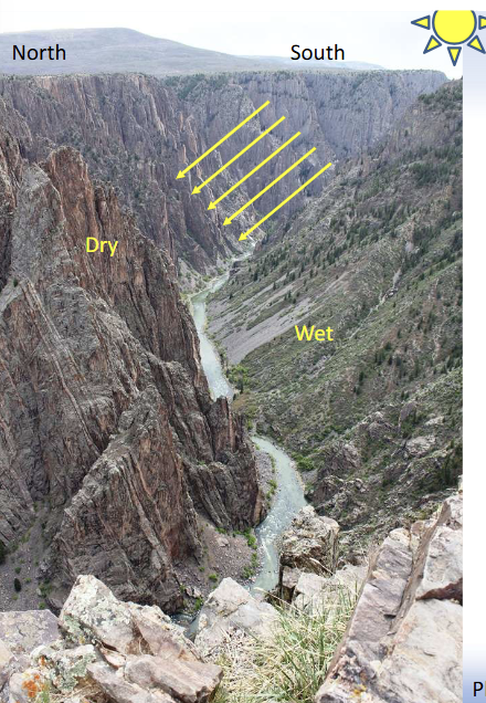 <p>The South rim (to the right) is facing the North: it weathers faster than the North face...</p><p></p><p>South rim does not receive heat from the Sun keeping moisture, accelerating weathering by freeze-thaw and chemical action</p><p></p><p>The Gunnison River erodes the material</p>