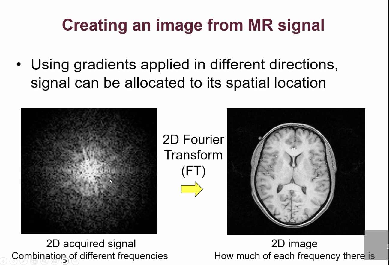 <p>using magnetic field gradients</p>