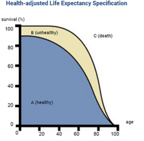 <ul><li><p>shows how long ppl live in <em>good </em>health (not just how long)</p></li><li><p>delaying onset of illness til late in life so smaller proportion of life in poor health </p></li></ul><p></p>