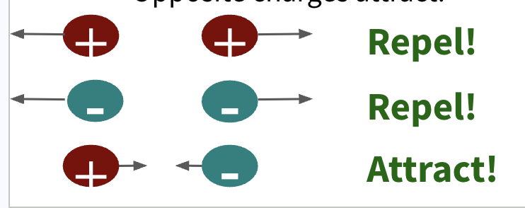<p>+ + = repel</p><p>- - = repel</p><p>+ - = attract </p>