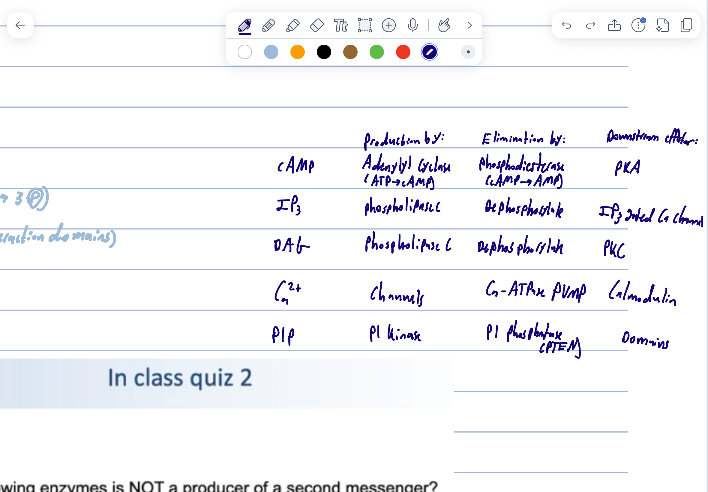knowt flashcard image