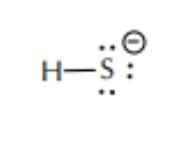 <p>HS<sup>-</sup></p>
