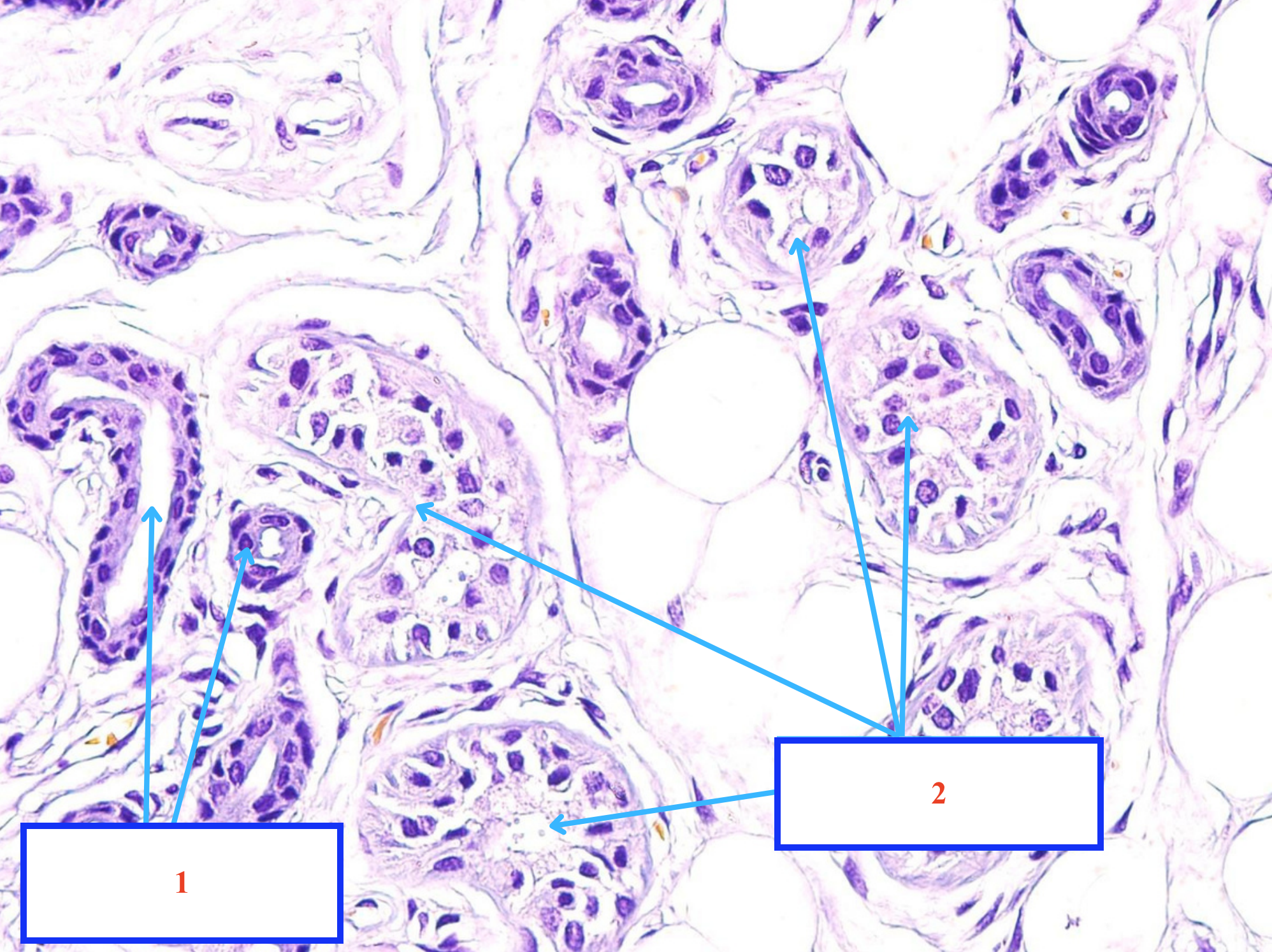 <p>Cấu trúc gì ?</p>